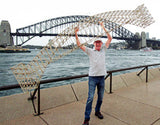 Sydney t